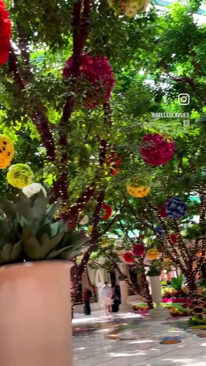 Video review of Wynn Las Vegas