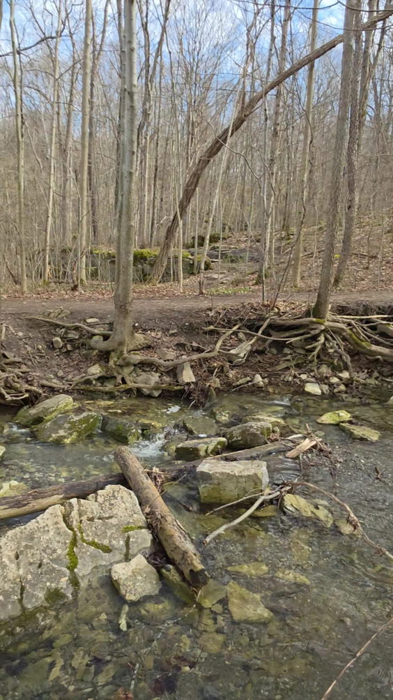 Three Falls Woods