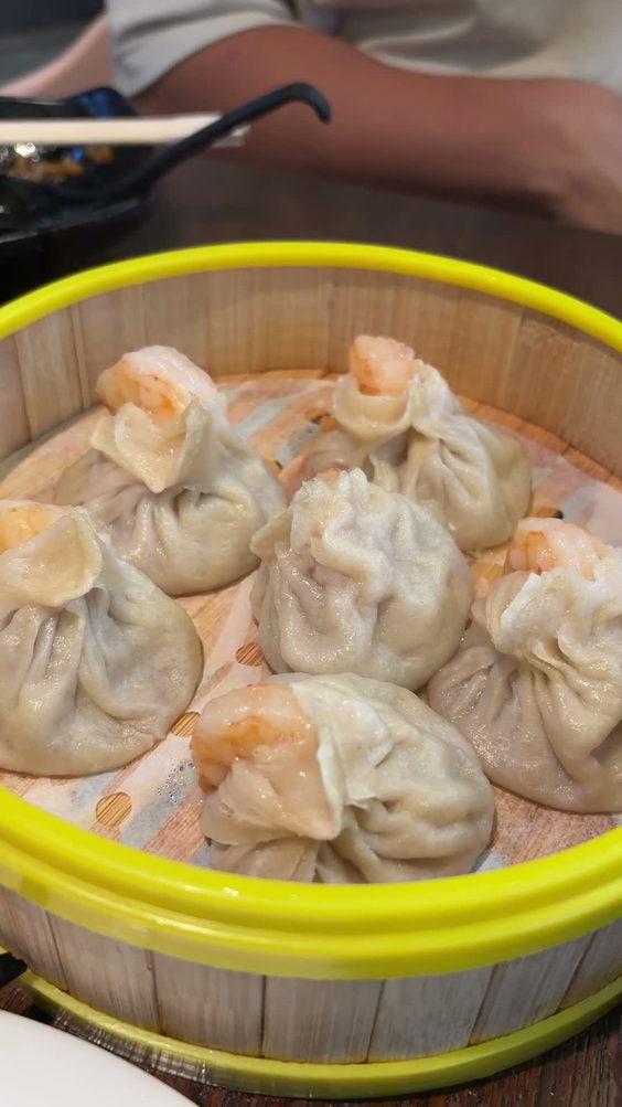 Serious Dumpling 正经生煎