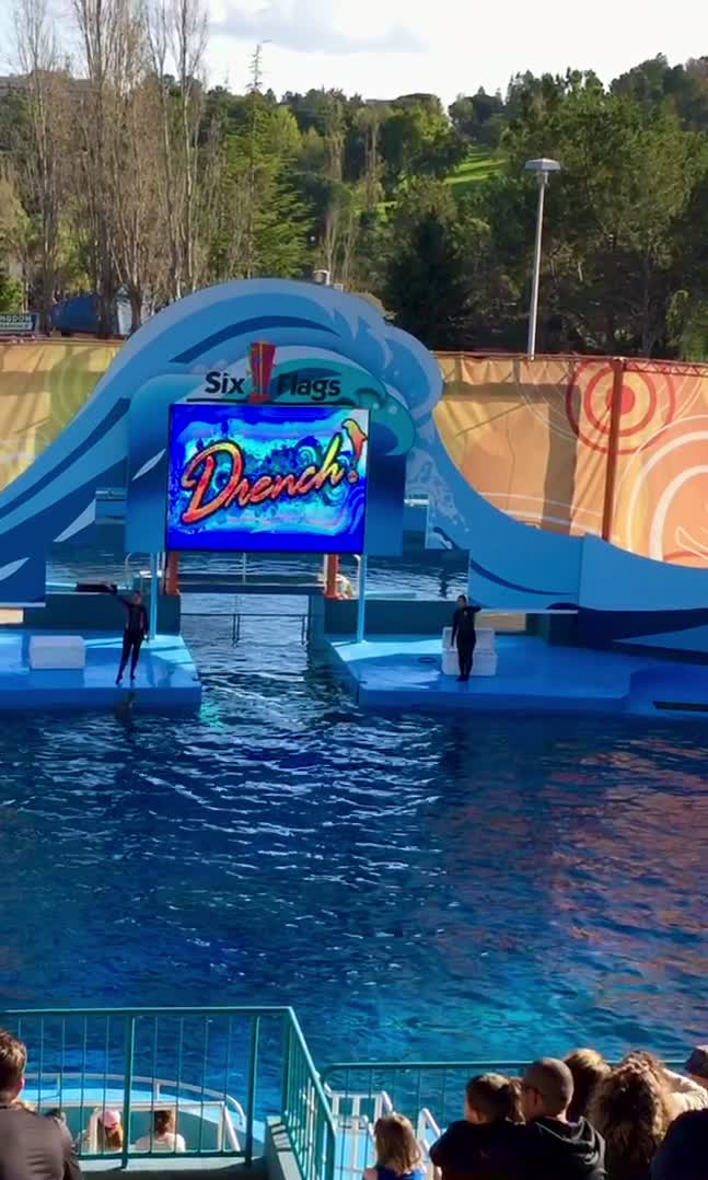 Six Flags Discovery Kingdom