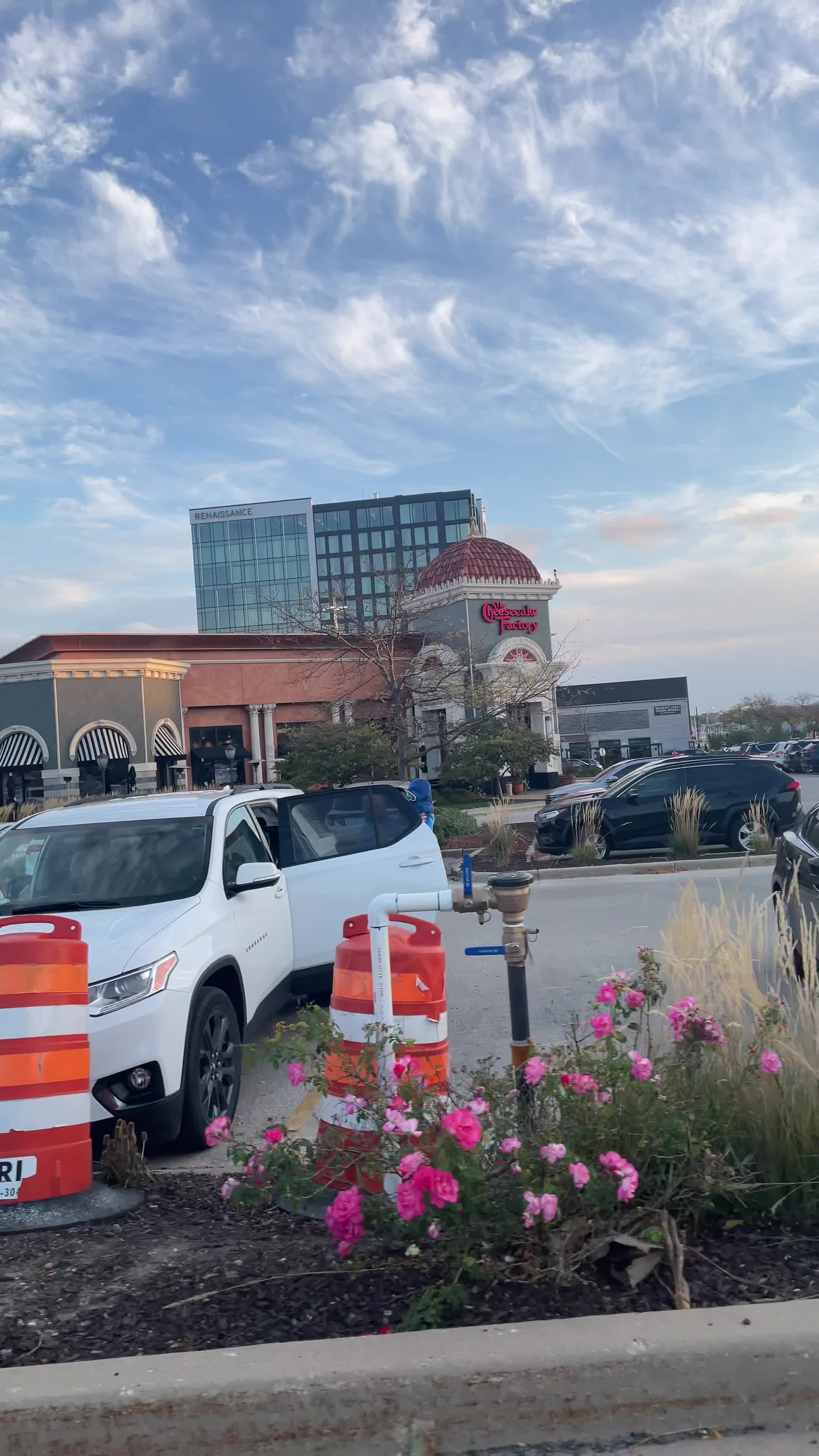 The Cheesecake Factory