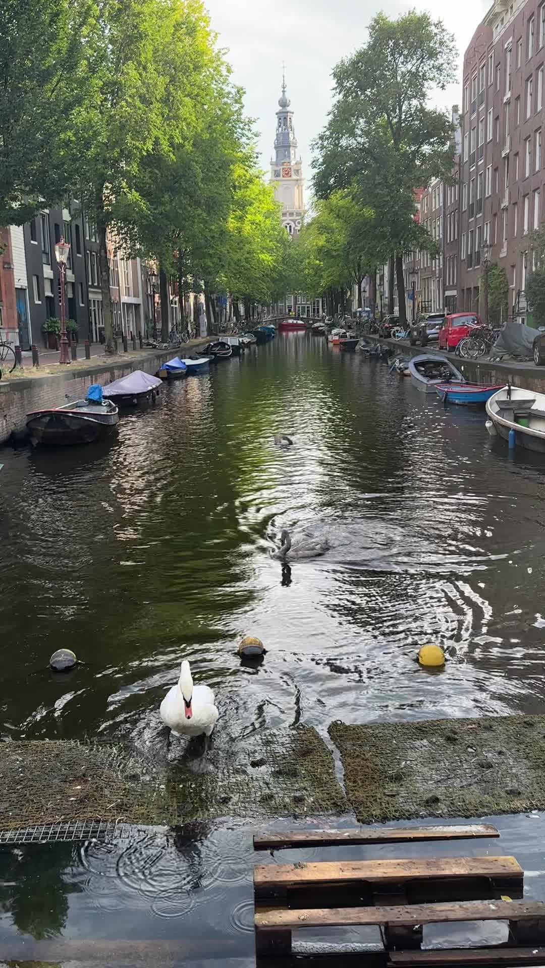 Zuiderkerkbuurt