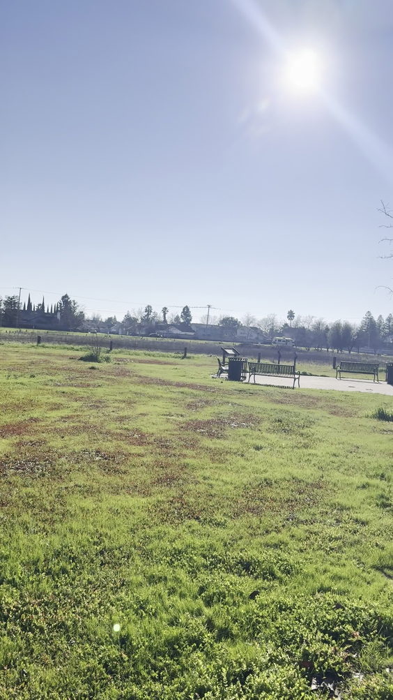 Robla Community Park 