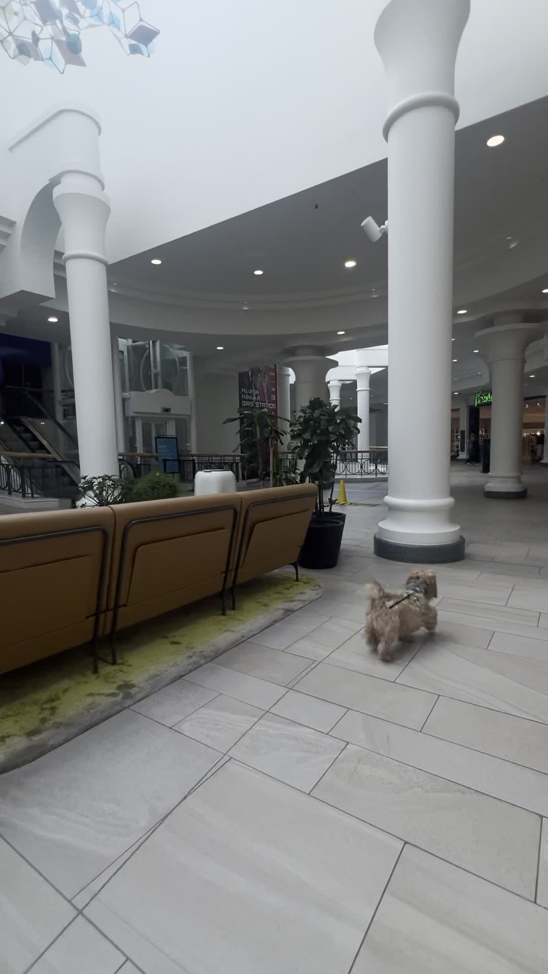 Royal Victoria Place Shopping Centre