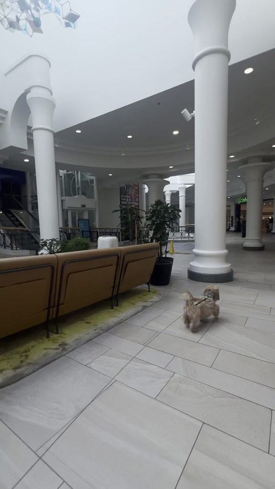 Royal Victoria Place Shopping Centre