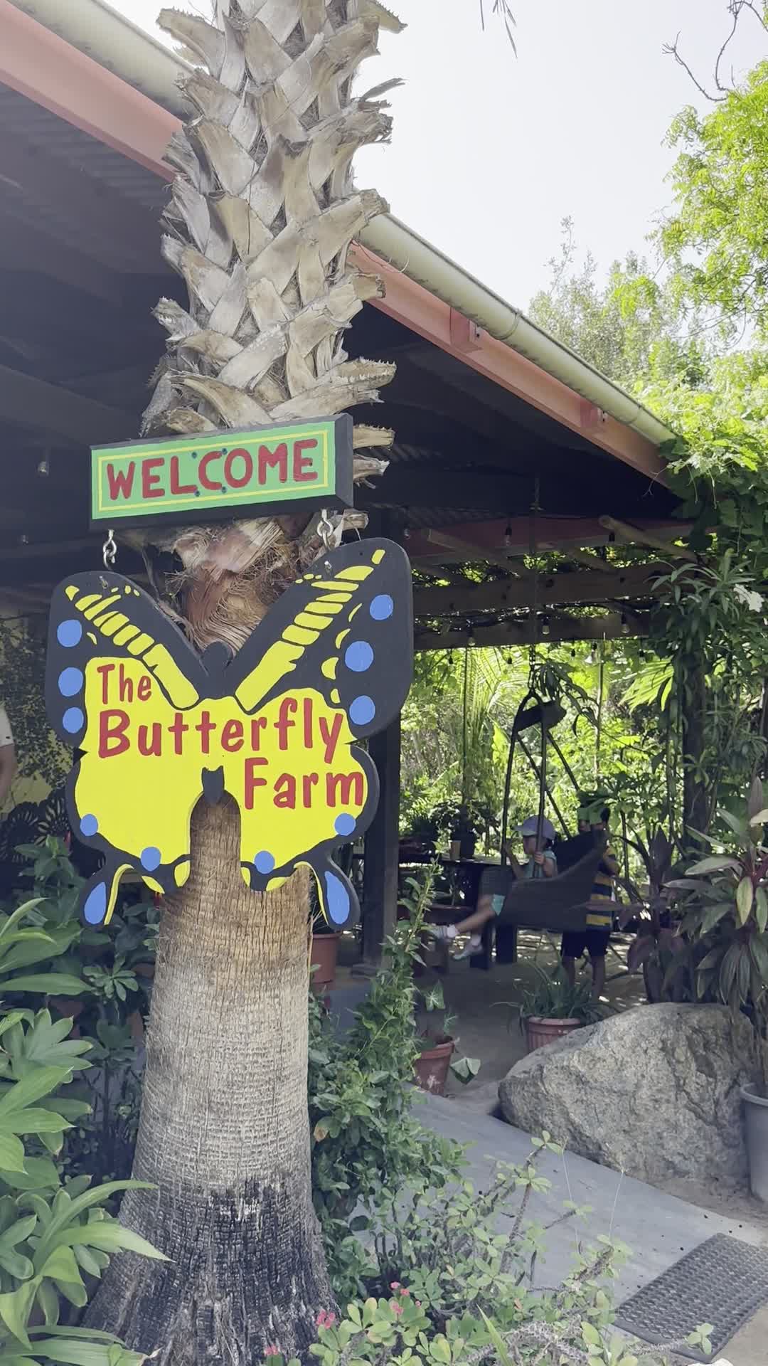 The Butterfly Farm