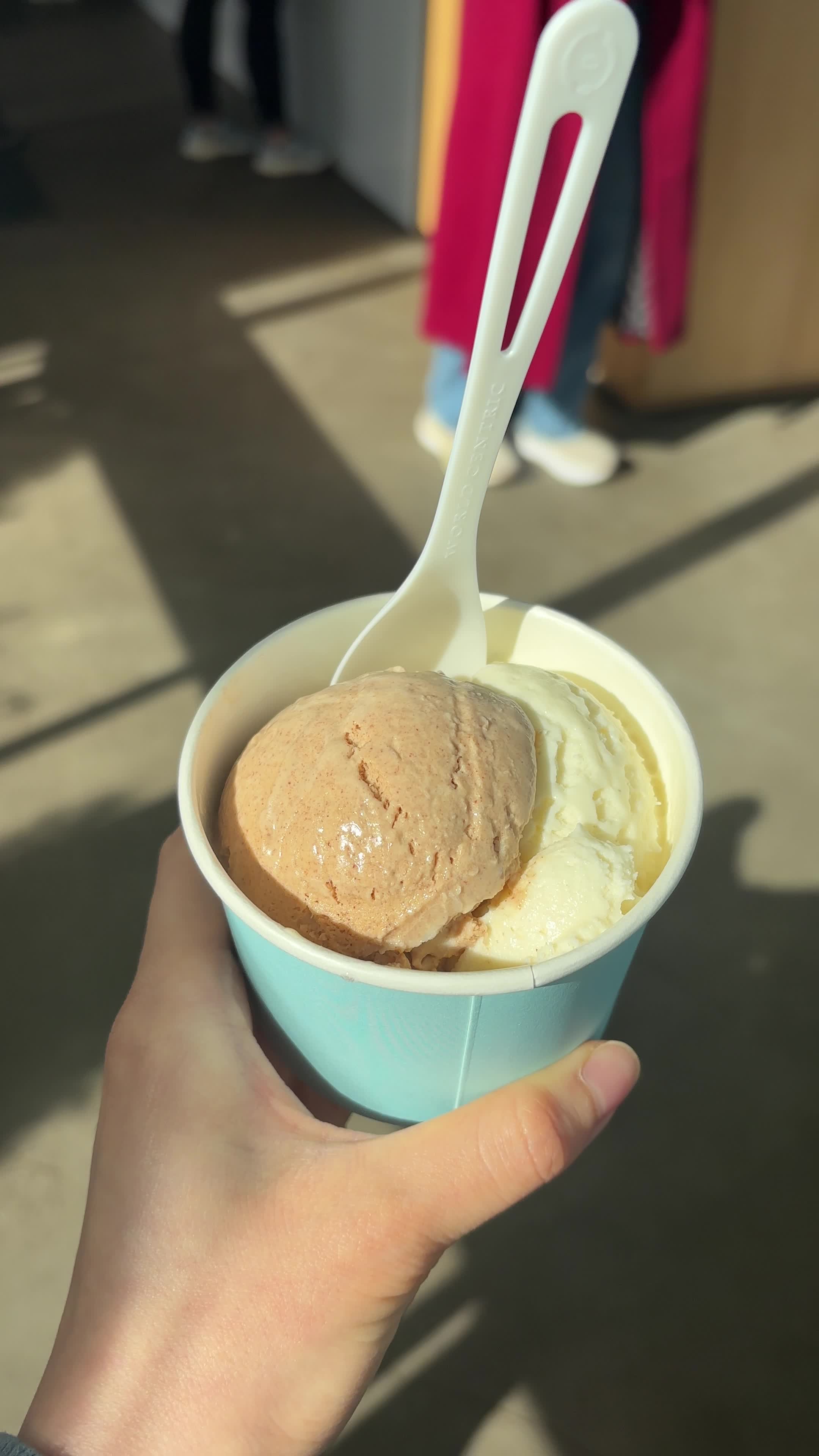 Video review of Molly Moon's