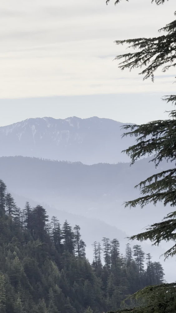 Manali