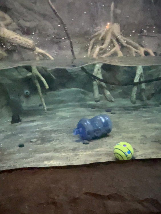 Daytona Aquarium And Rainforest Adventure