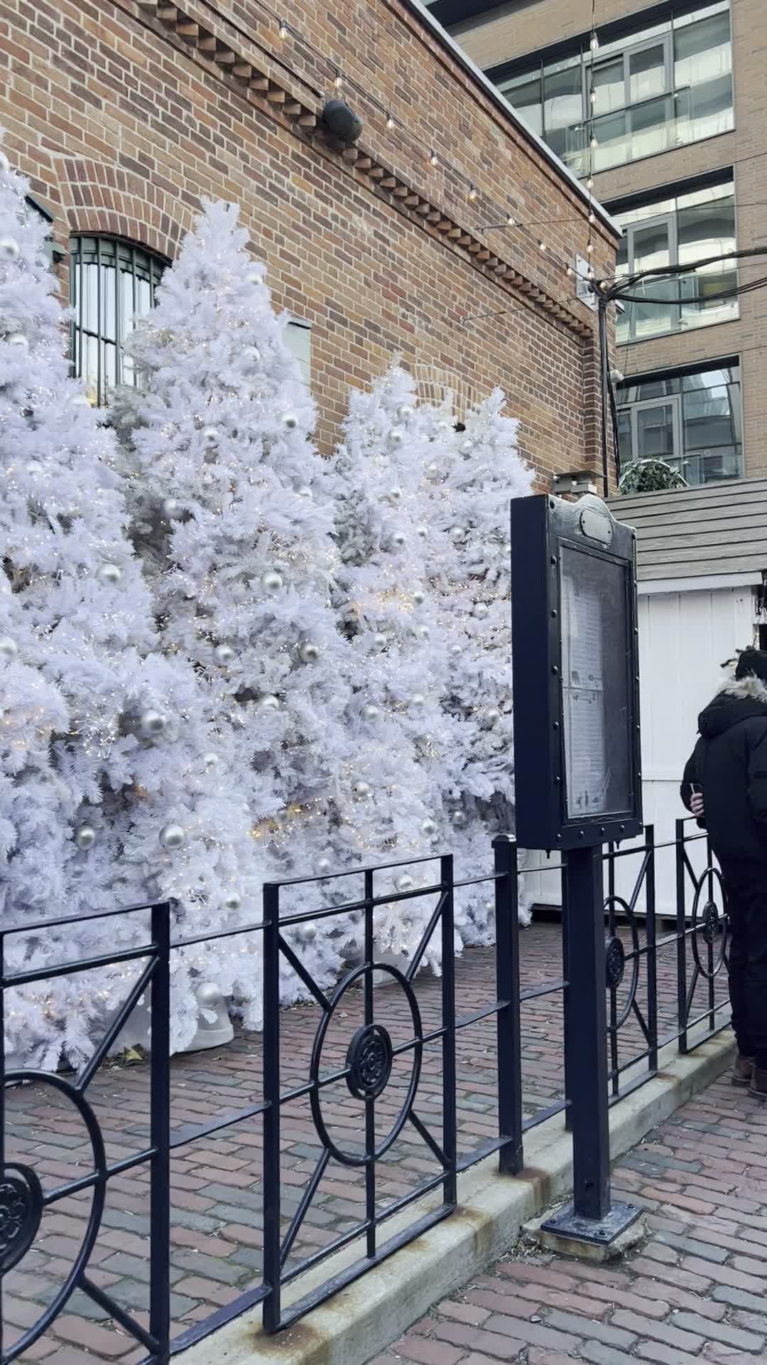 Video review of The Distillery Historic District