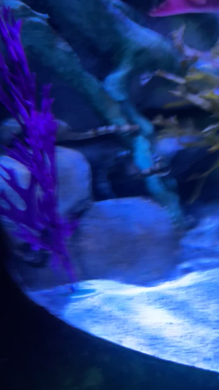 City Moment · Phoenix