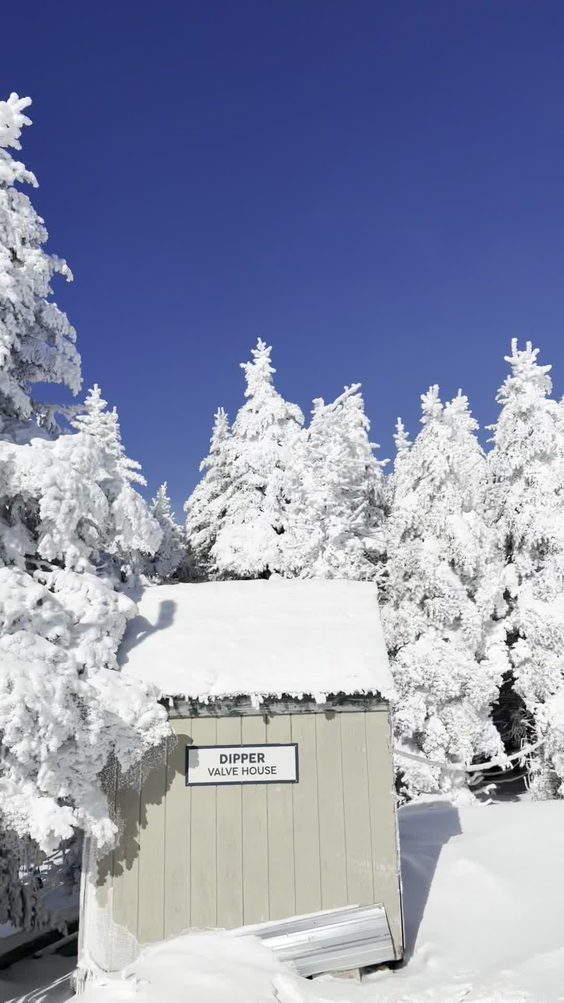 Mount Snow Resort