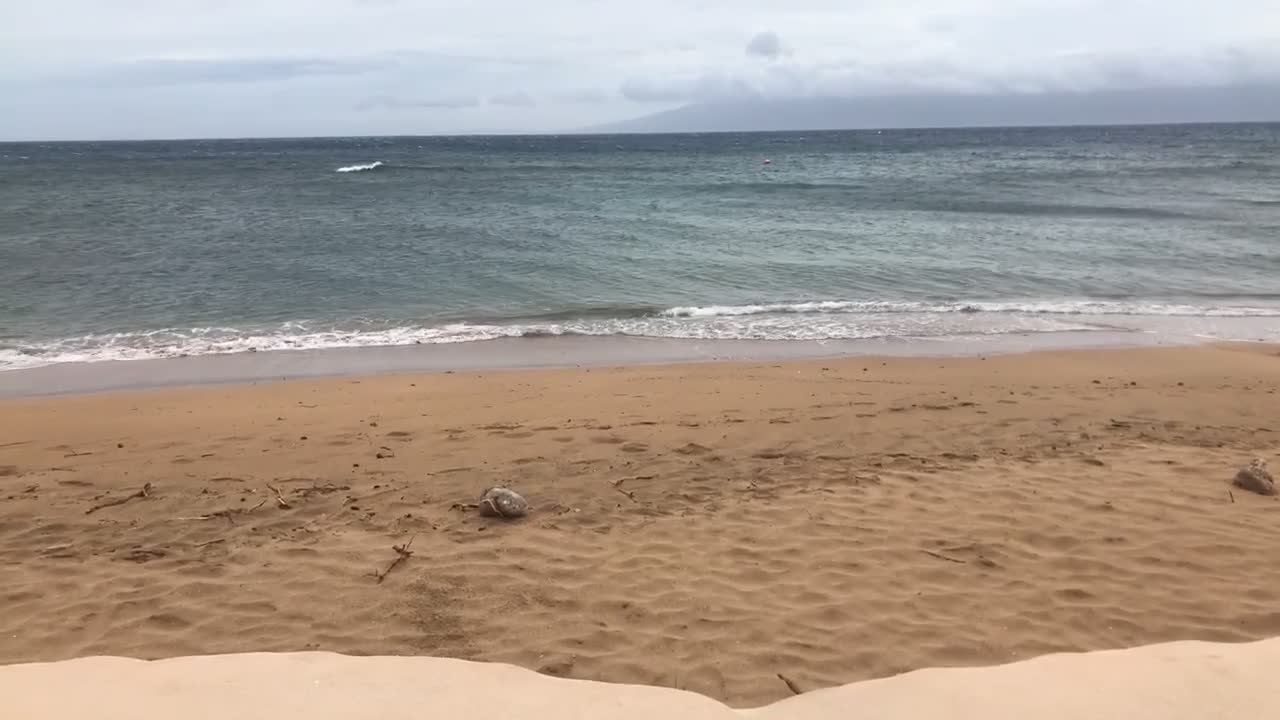 Video review of Aston Kaanapali Shores