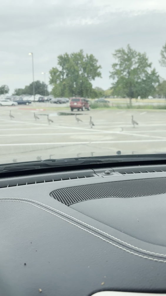 City Moment · North Richland Hills