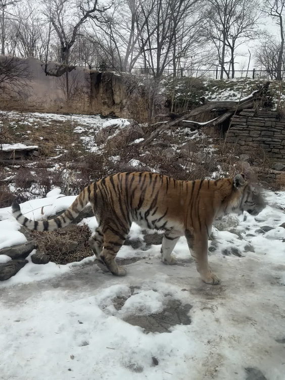 Henry Doorly Zoo and Aquarium