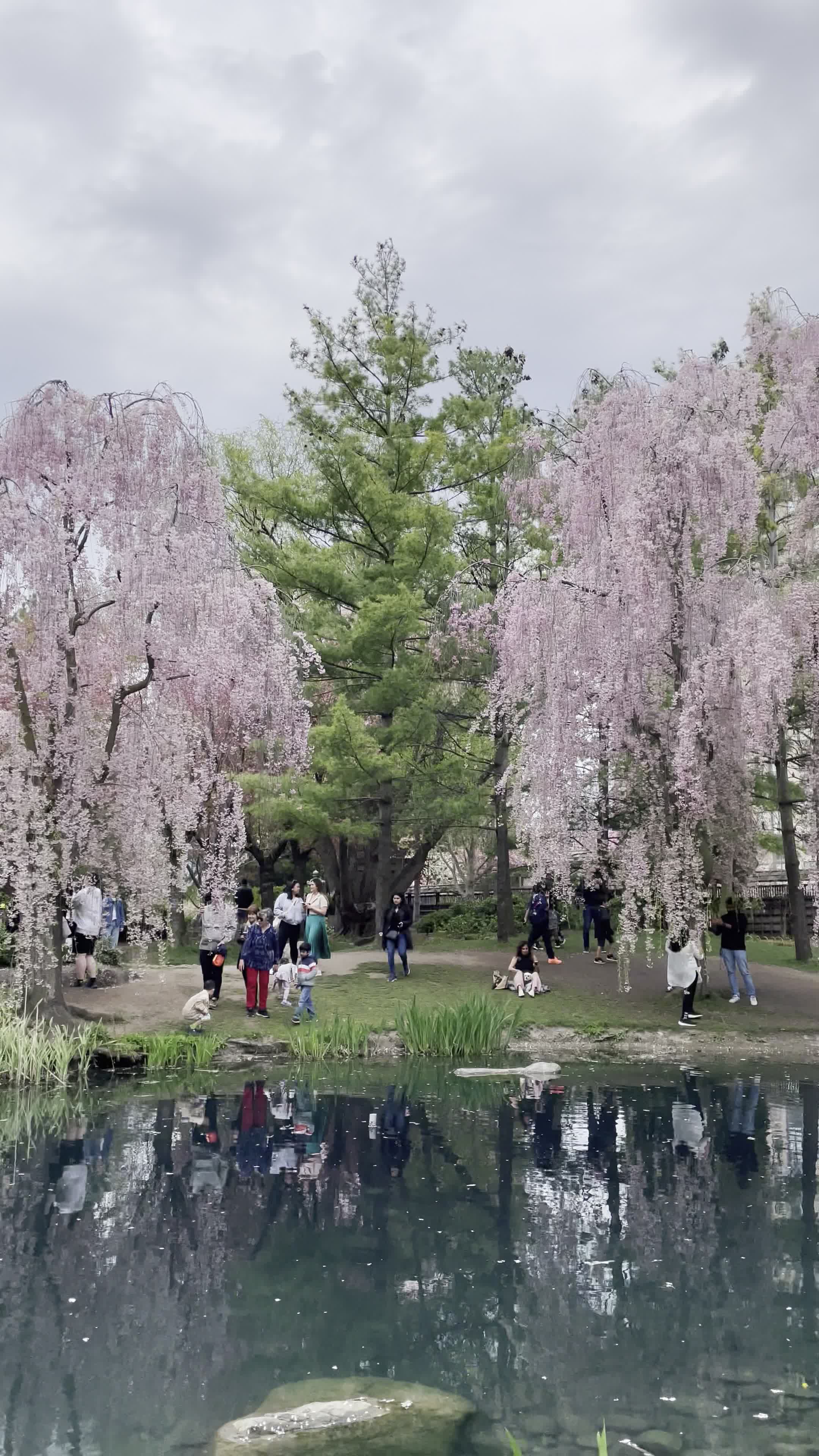 Kariya Park Japanese Zen Garden