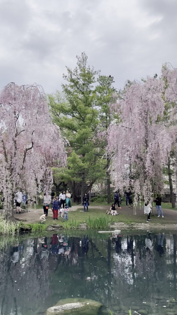 Kariya Park Japanese Zen Garden