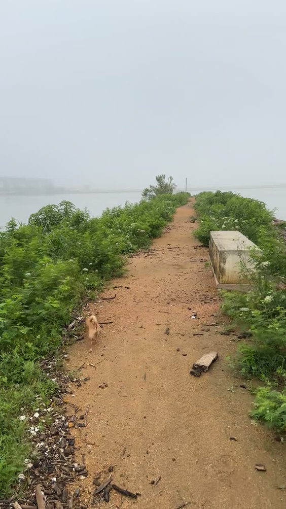 Peninsula Park
