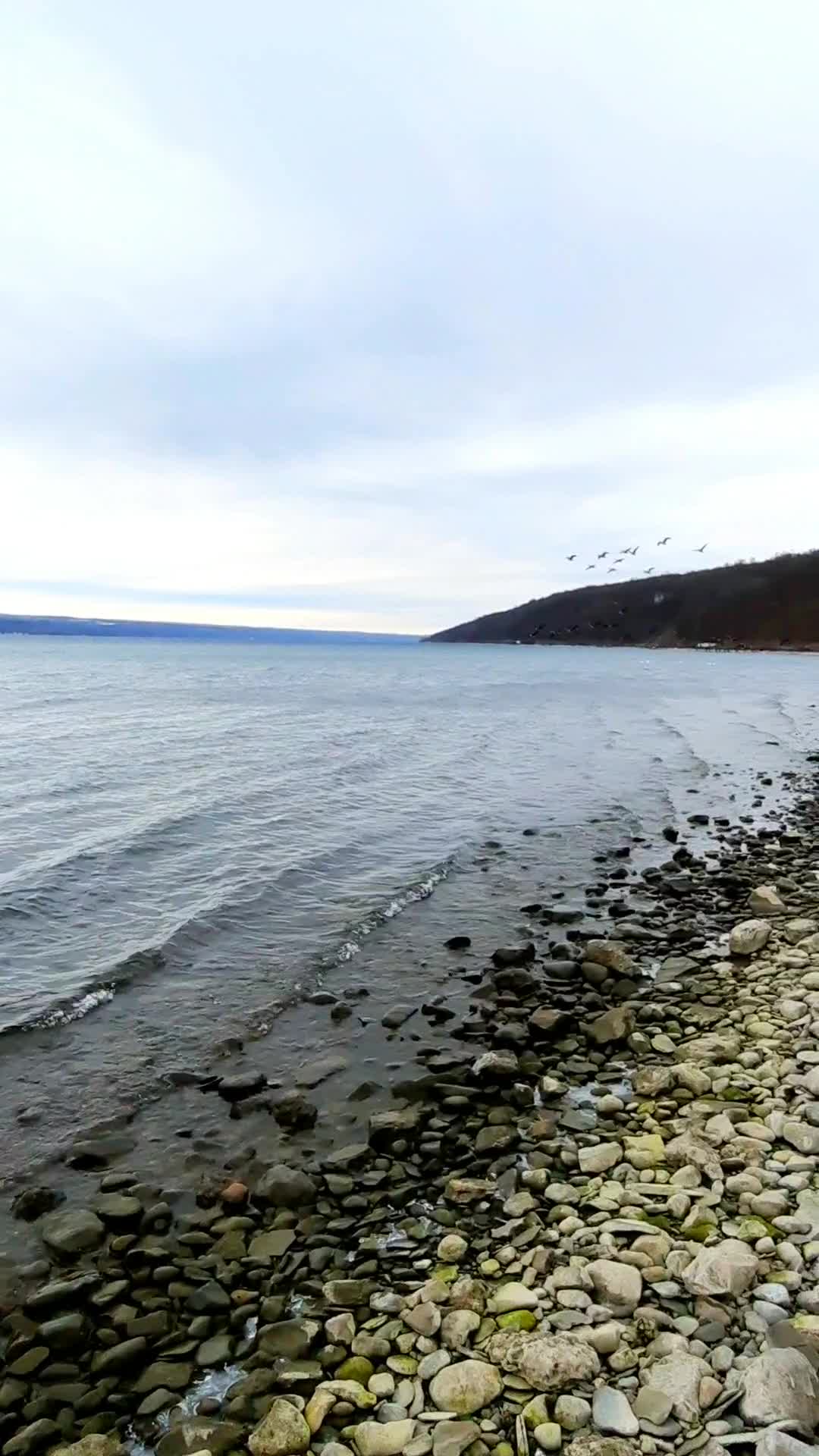 Salt Point