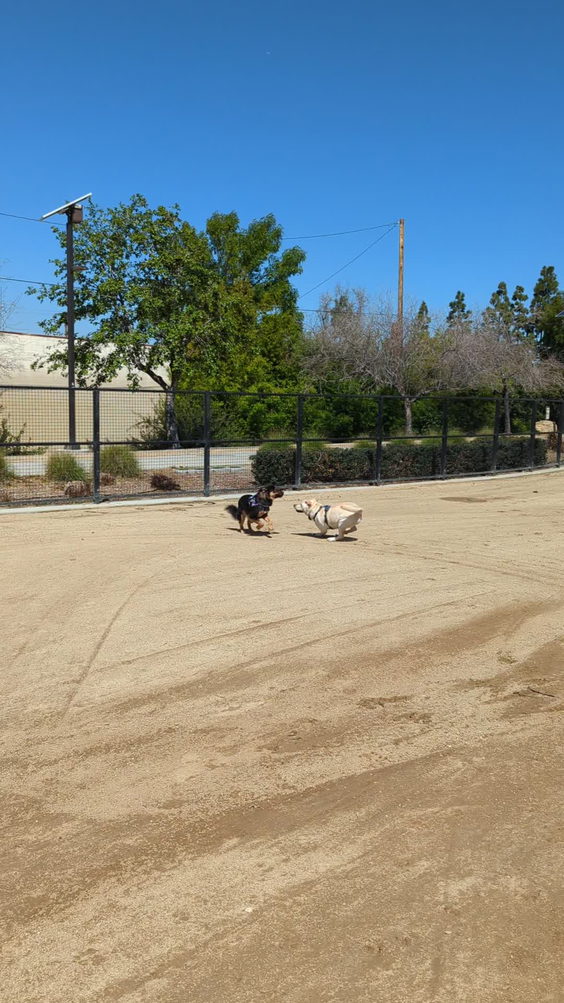 Whittier Dog Park