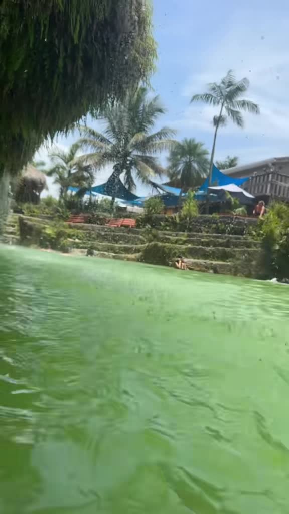 Blue Lagoon Farm Miami