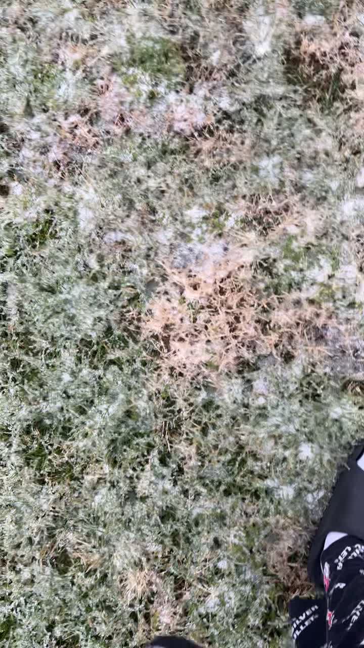 Video review of Wings 'N More Restaurant Southwood Valley