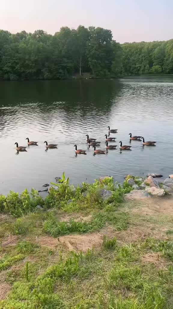 Falafel & Mezze House