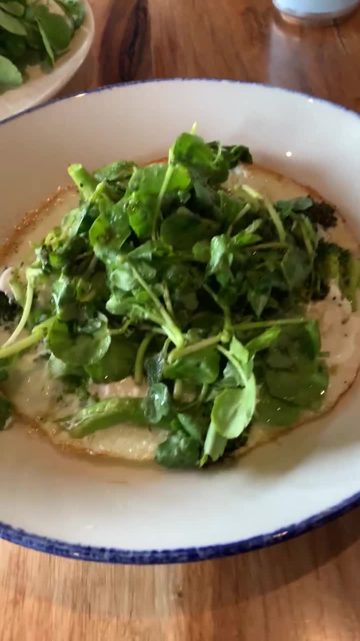 Video review of Alcove