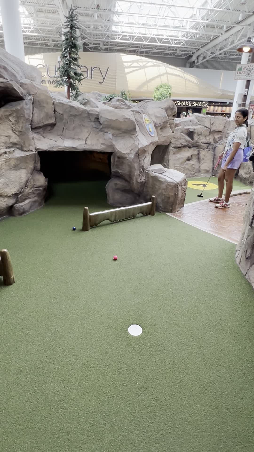 Video review of Moose Mountain Adventure Golf