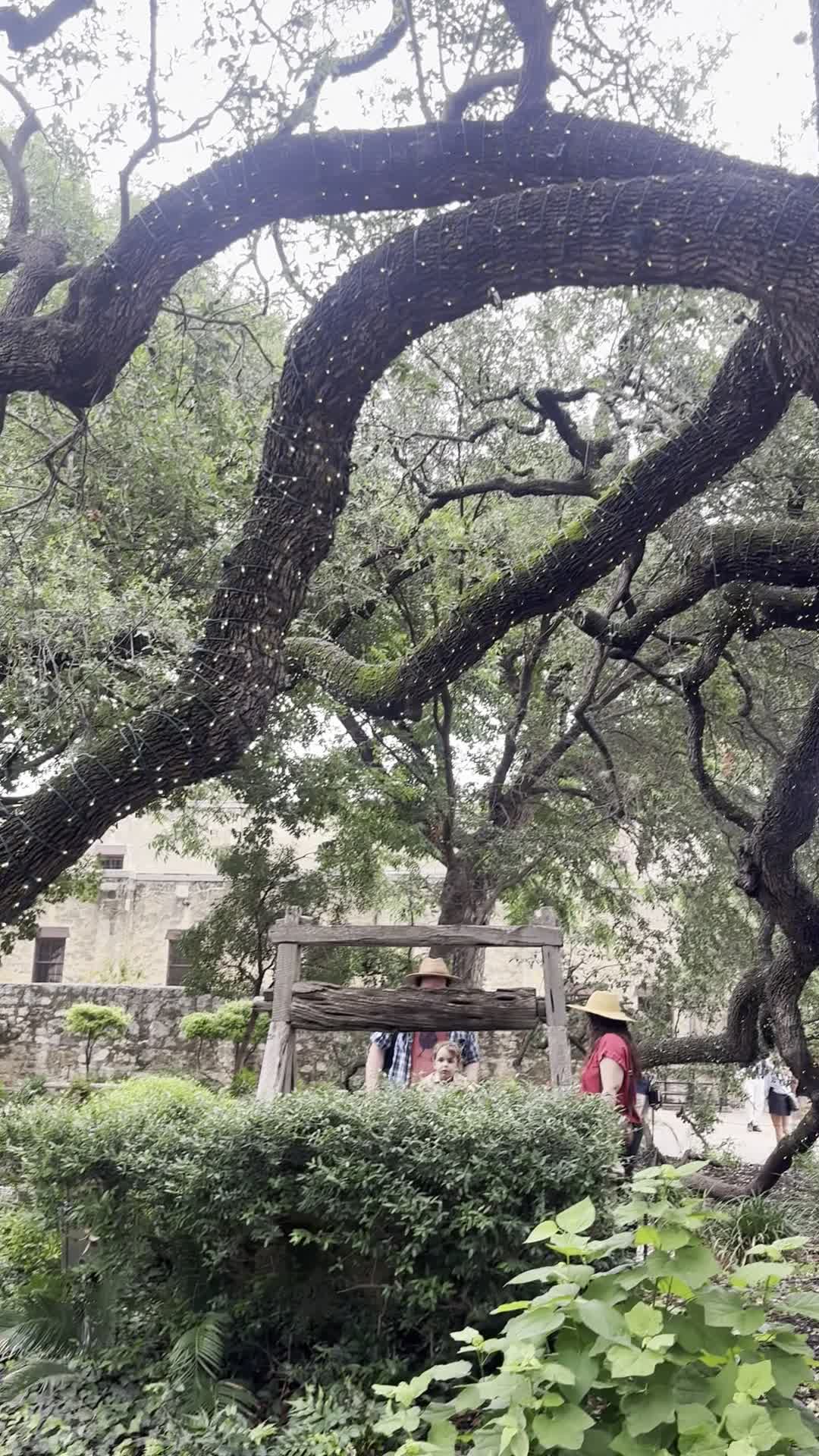 The Alamo