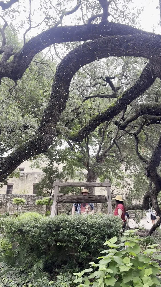 The Alamo