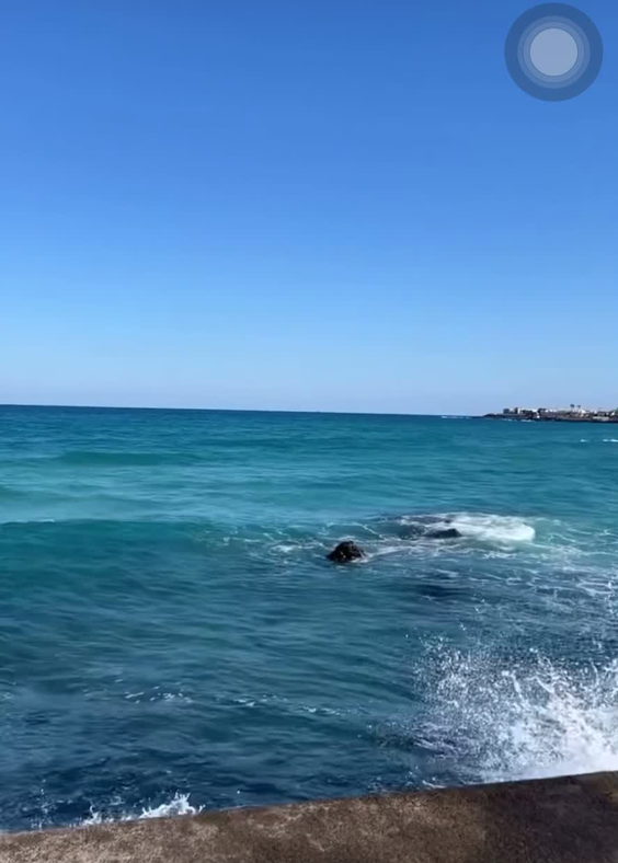 김녕해수욕장 (Gimnyeong Beach)