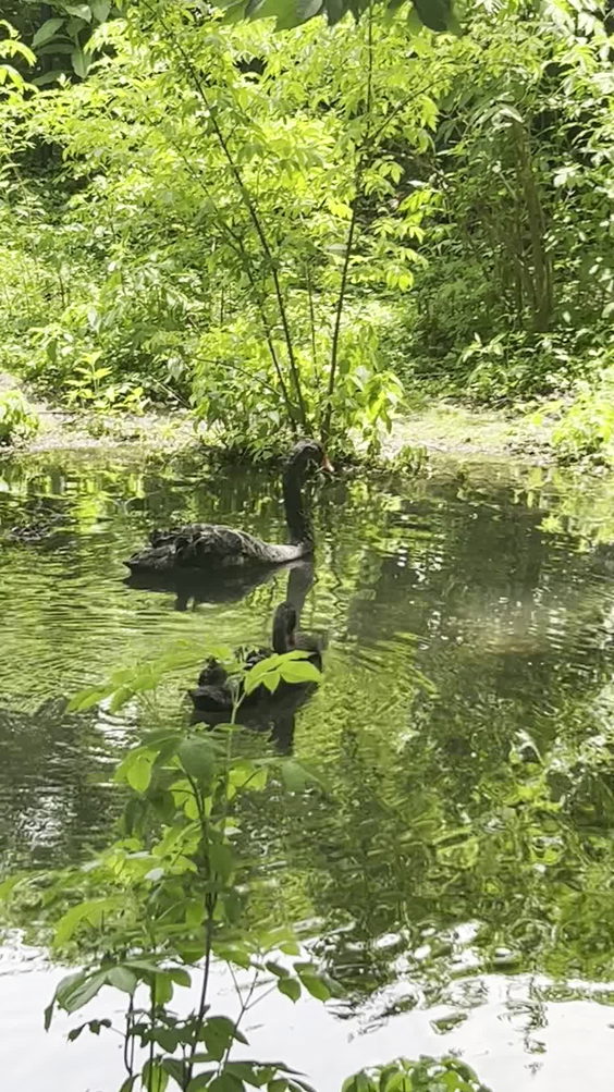 Blank park zoo