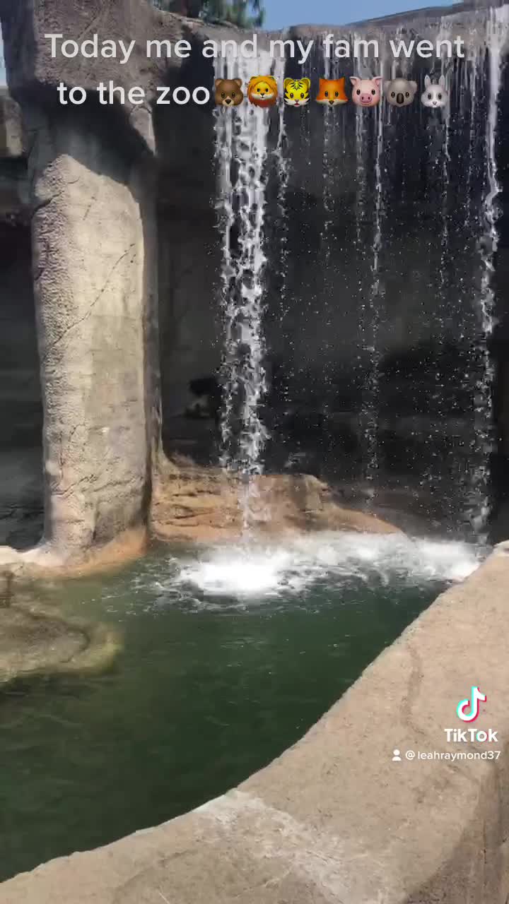 Cleveland Metroparks Zoo