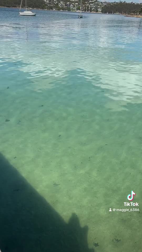 Hugos Manly