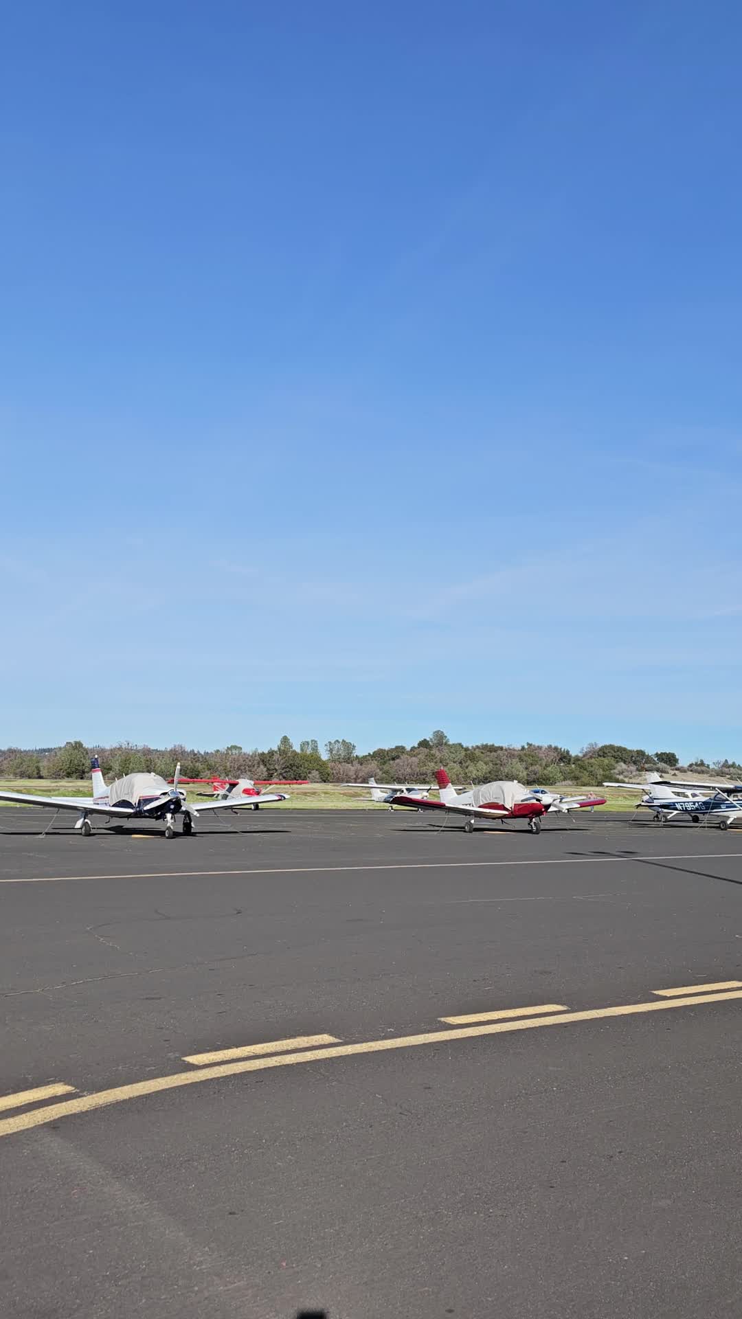 Sunshine Flyers