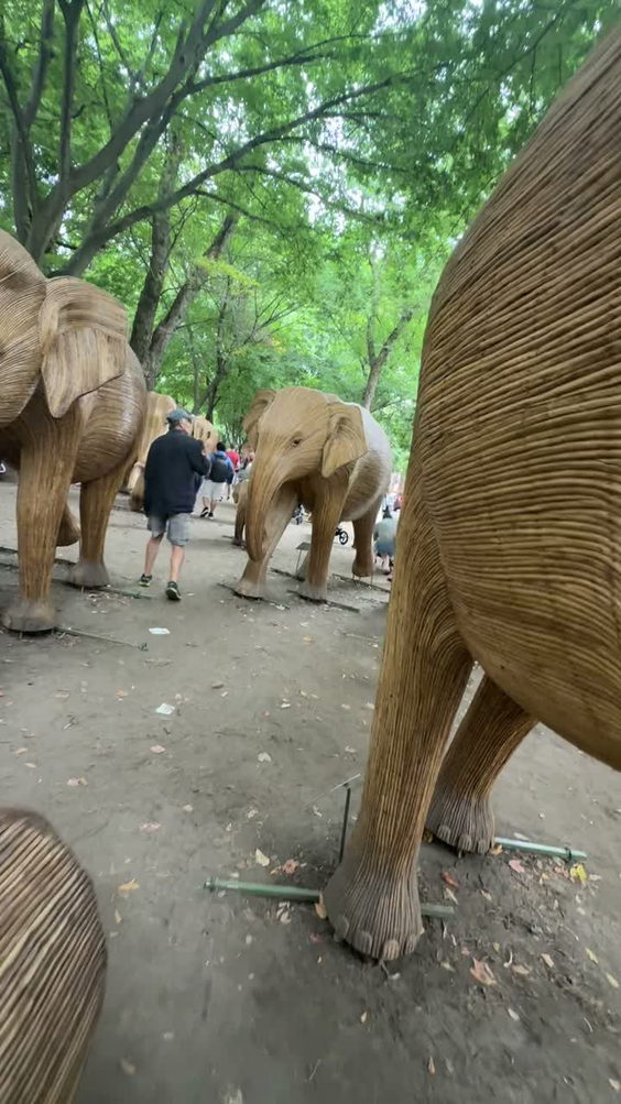 The Great Elephant Migration