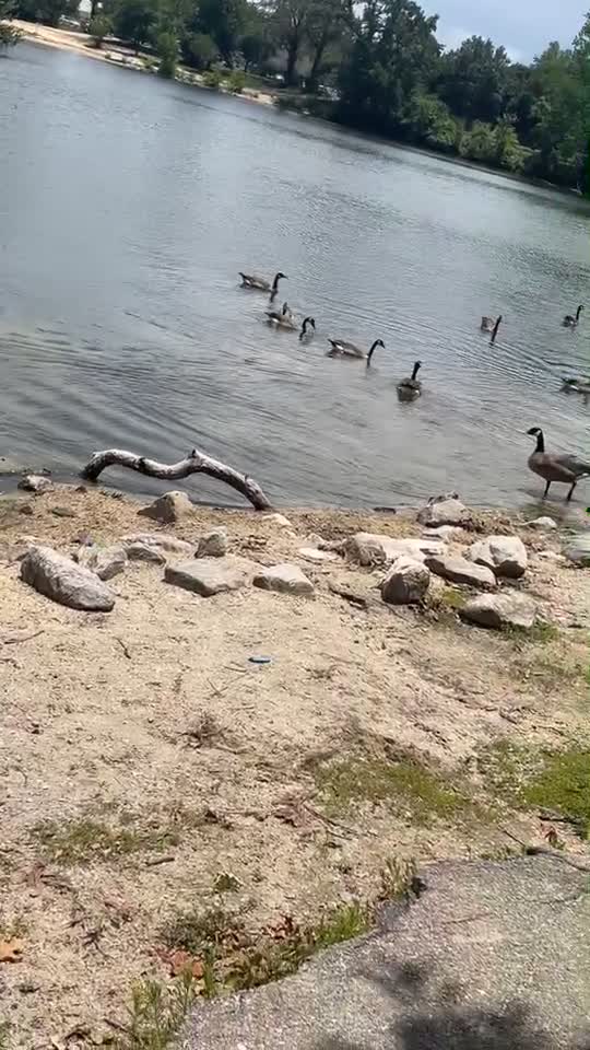 Duncan Lake
