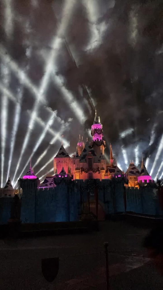 Disneyland Park
