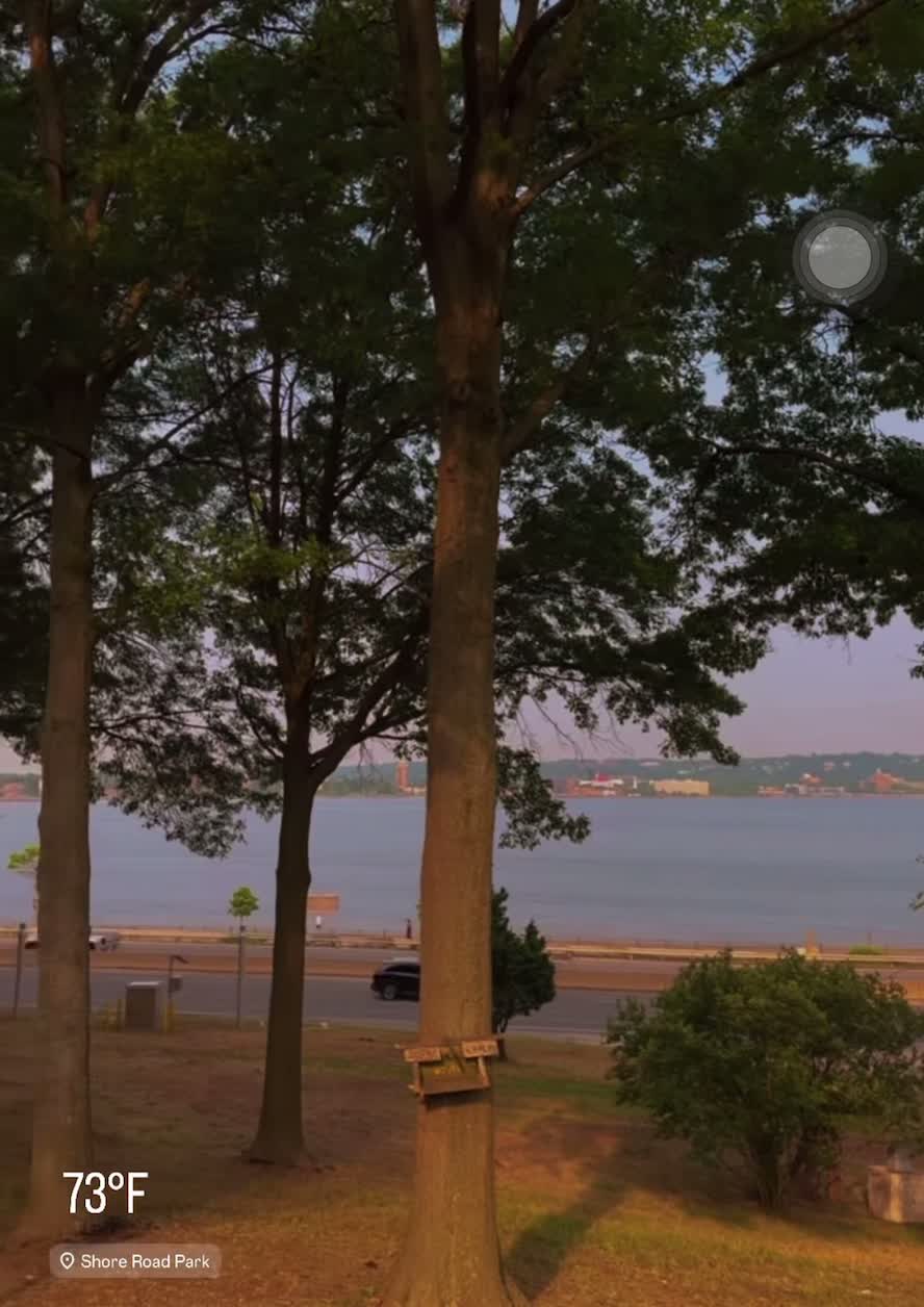 Shore Road Park