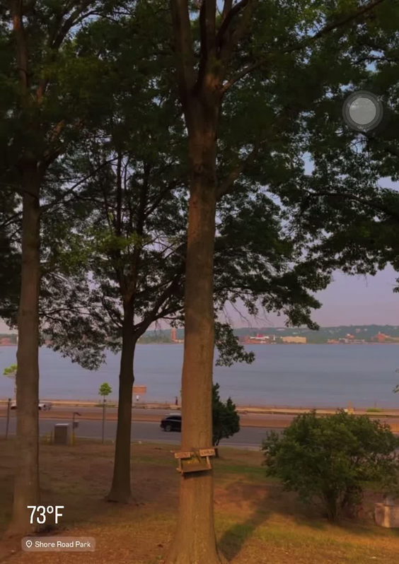 Shore Road Park