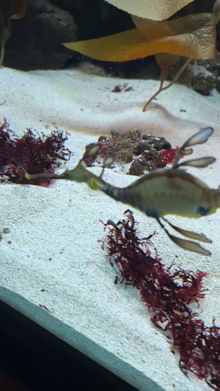 AMC Village Crossing 18