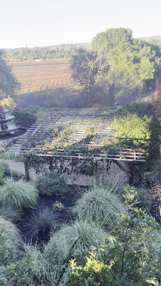 Passalacqua Winery