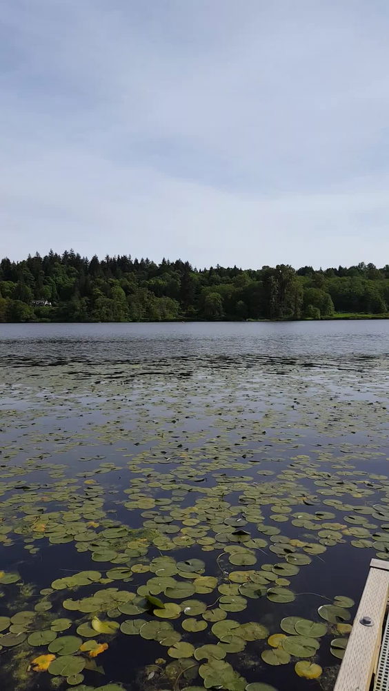 Deer Lake Park