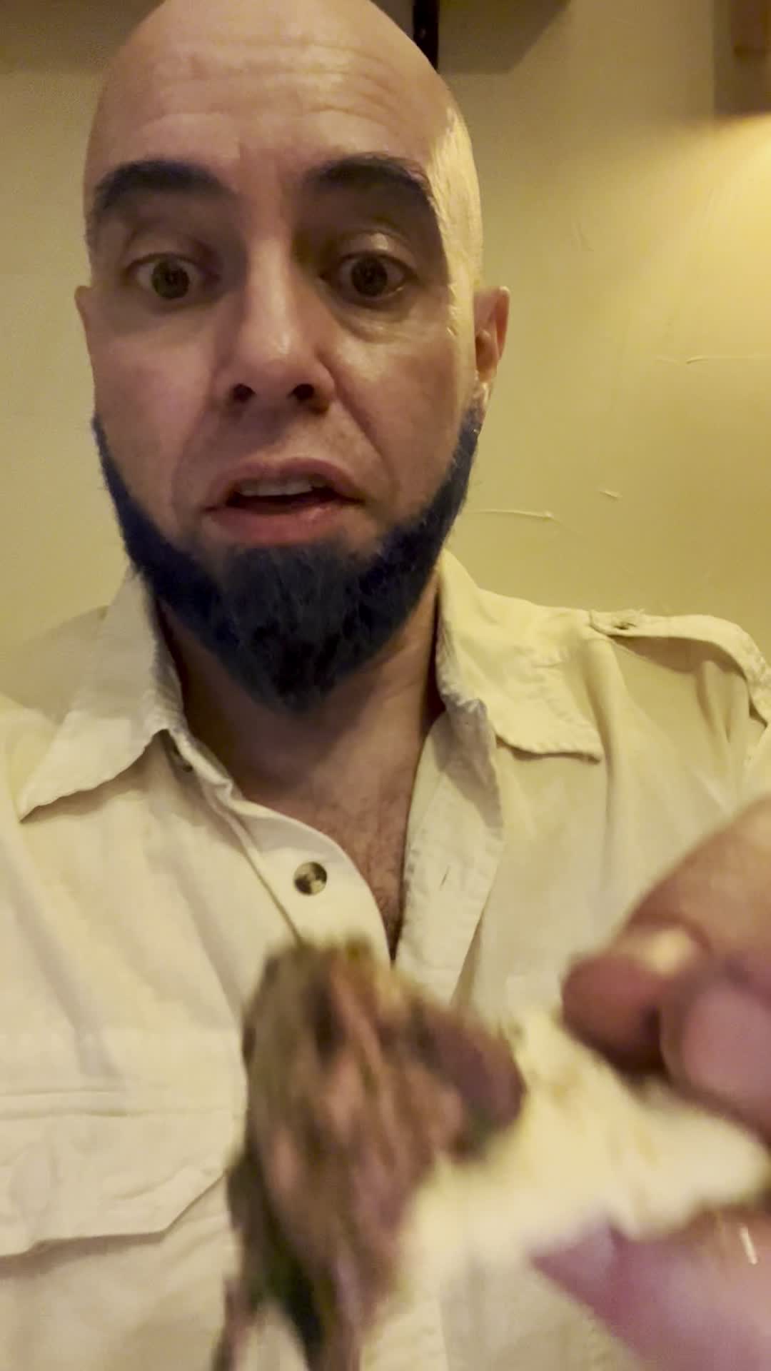 Brother Fox Sister Hen