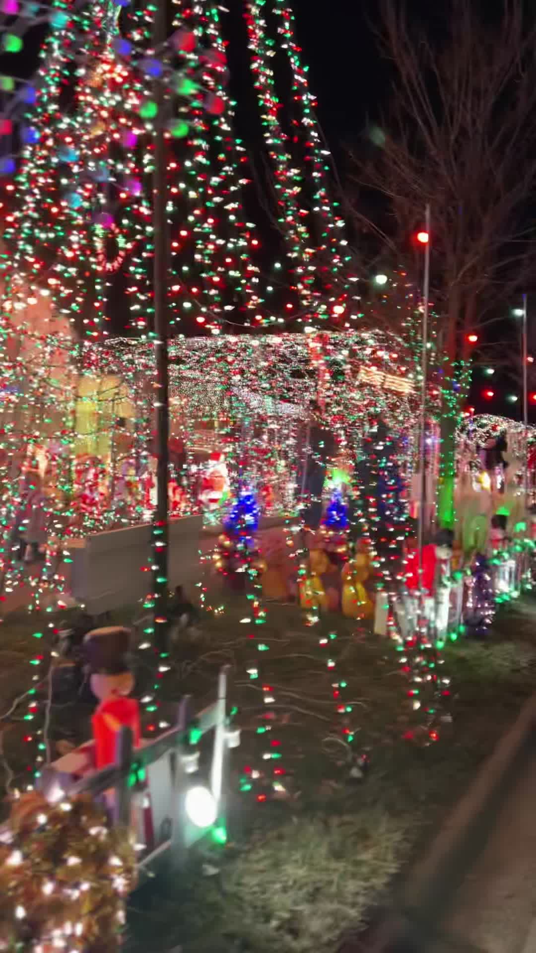 TP Christmas House