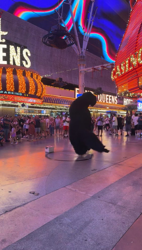Fremont Street Experience