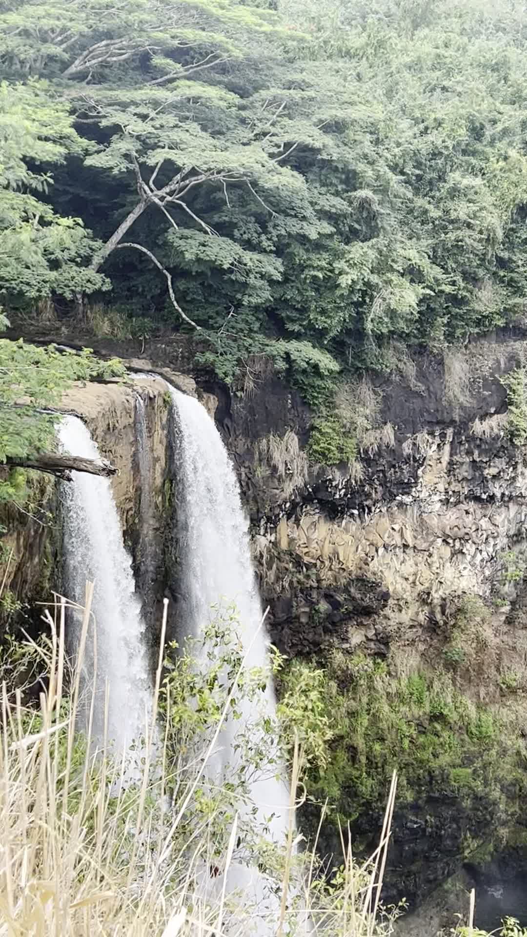 Video review of Opaekaa Falls