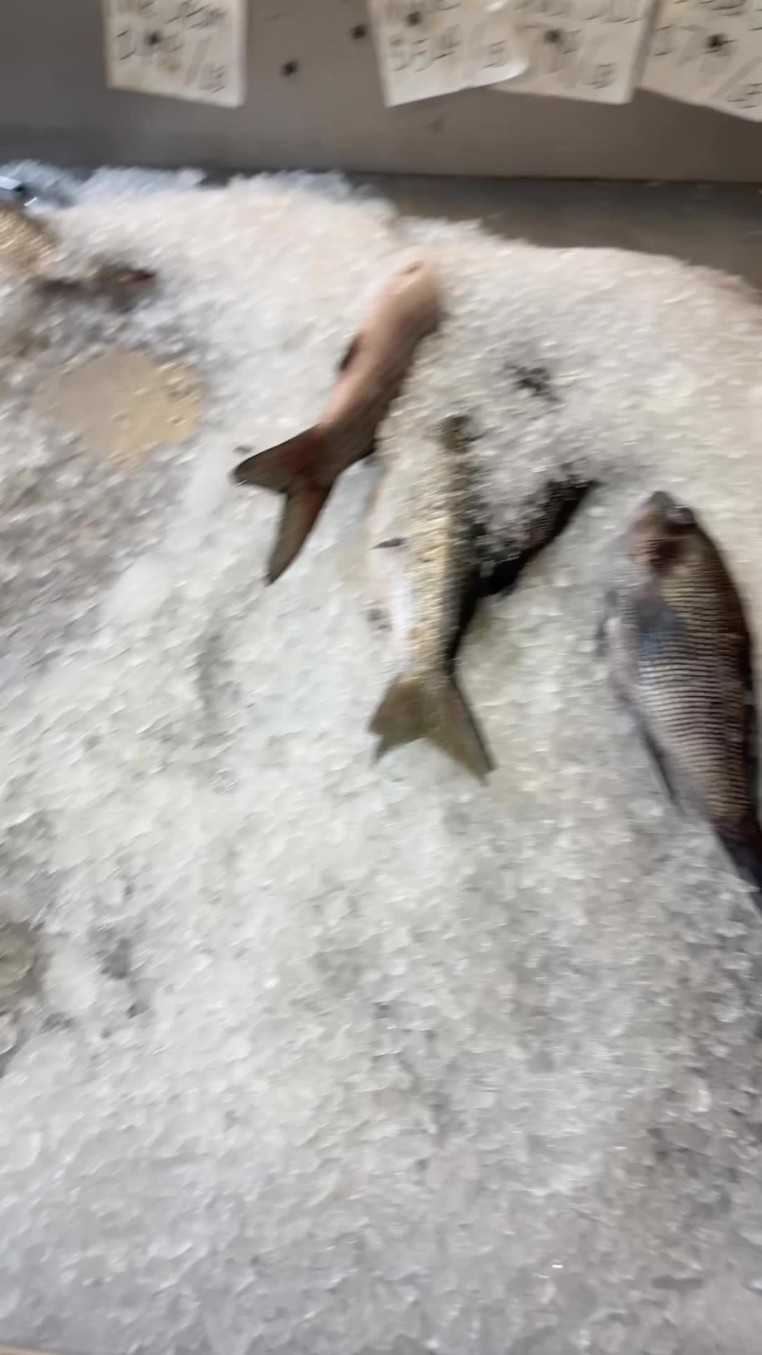 Augusta Fish Market and Restaurant