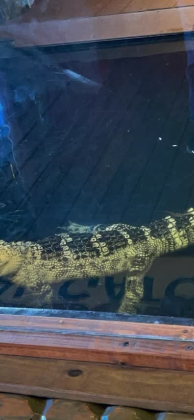 Gator Beach @ Fudpucker's